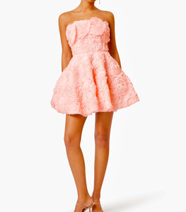 Rosella Elliatt Mini Dress