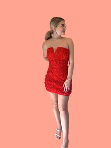 Red Rose Strapless Dress