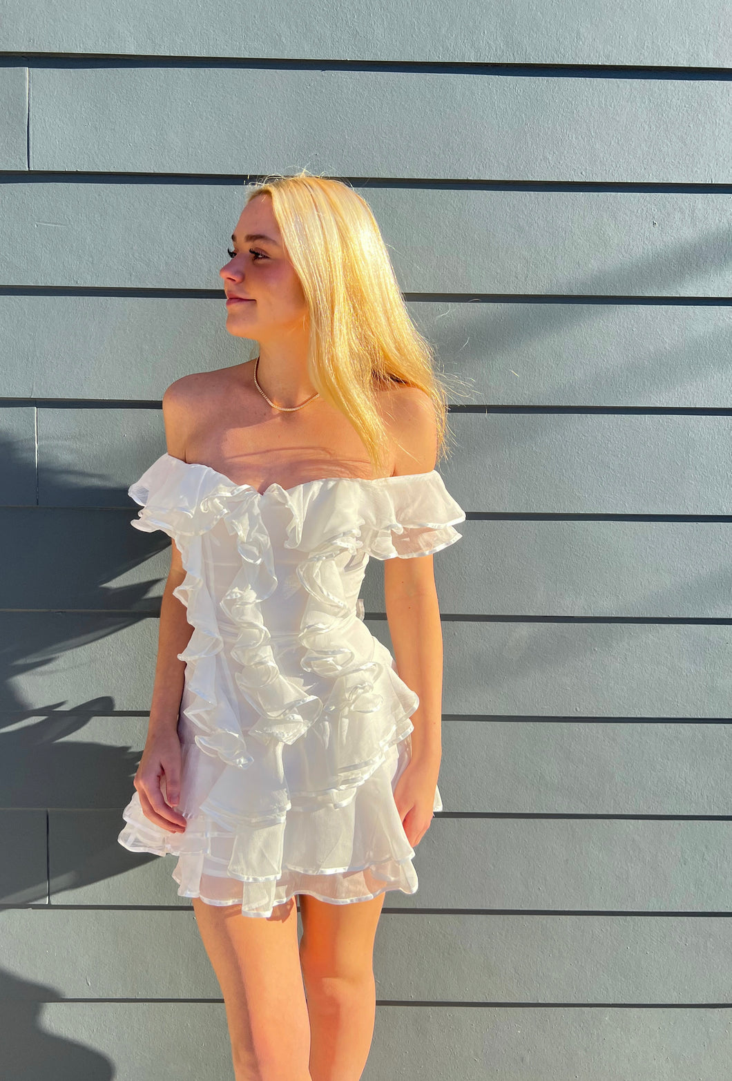 Ruffle Mini Dress